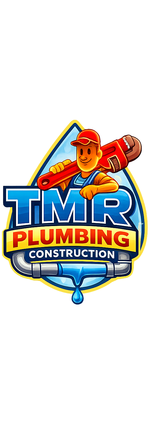 Professional Plumber